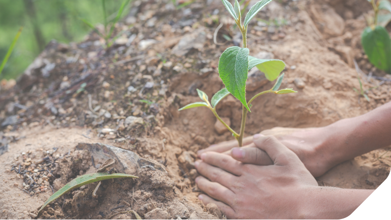 MGF Maintain ISO Accreditations